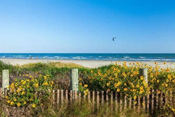 Seawall Condos image 13